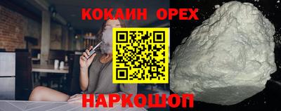 индика Новозыбков