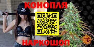 индика Новозыбков