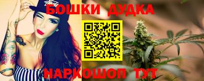 стафф Новокубанск