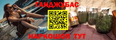 индика Новозыбков