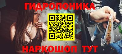 стафф Новокубанск