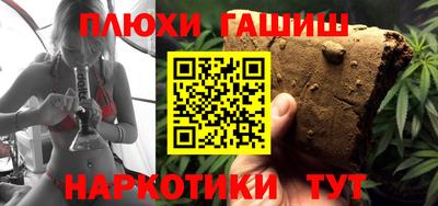 индика Новозыбков