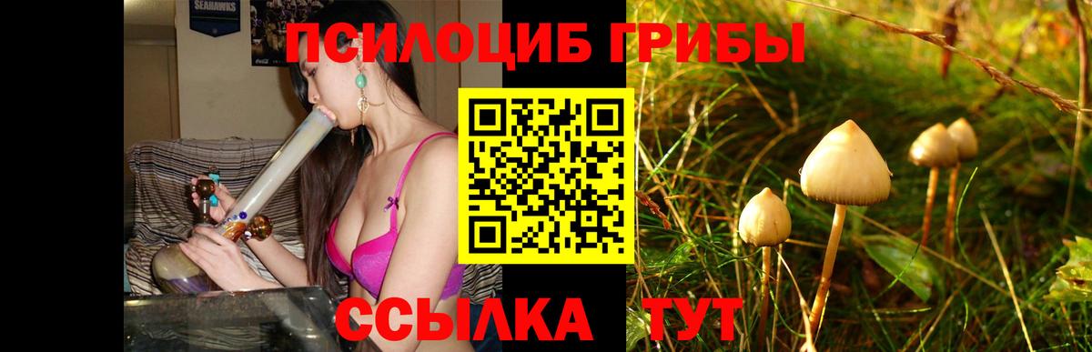Галлюциногенные грибы Magic Shrooms Владикавказ